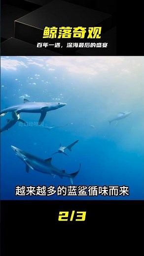 鯨魚死后不腐，瞬間喂養整座深海生命城 #鲸落 #深海生态 #动物世界 #自然奇观 #生命循环