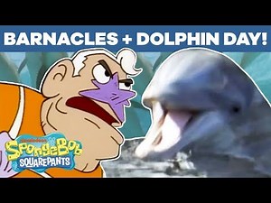Dolphin Day + Barnacles Mashup! 🐬 SpongeBob SquarePants | #TBT