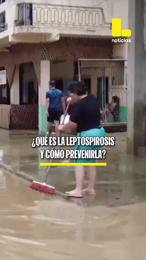 Leptospirosis en Perú: Aumento y Prevención