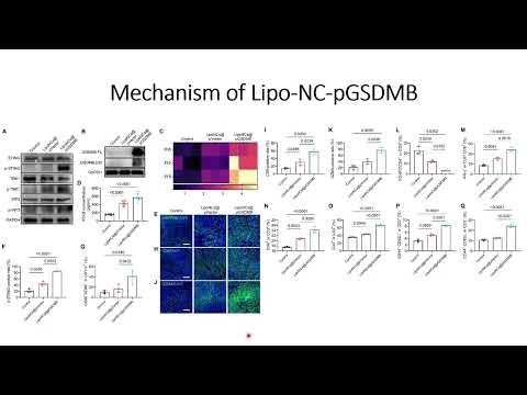 Mechanism of liposomal nanoplatform (Lipo-NCs-pGSDMB) #Code: 1069