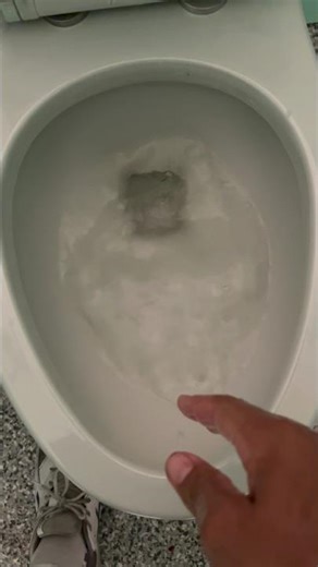 Costco WaterRidge one piece toilet siphoning out!!!