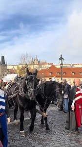 “St. Martins Day- a beloved tradition symbolizing the arrival of winter 🇨🇿” #reelsvideoシ #viralreels #fbreelsfypシ゚ #prague #fblifestyle | Pammie Baylon
