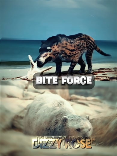 Andrewsarchus vs Arctodus simus #prehistoric #animals #dinosaur #1v1 #vs #bear @brazilianmegistho @brucewr7 @kingcarcha @dominion3503 @quin.kana @haryad000000 @evilorcarthru @04vv1 @palaeoboi