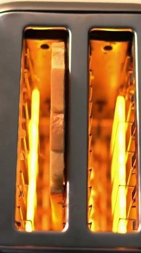 How Toasters Really Work: The Science Behind Your Breakfast 🍞⚡ #Science #Breakfast #Shorts