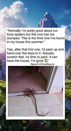 Giant Spider Invades Home For Third Time