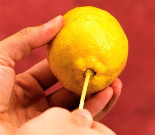 157K views · 37 reactions | How to store food and keep it fresh for longer  clever food hacks: | Parentips | Facebook