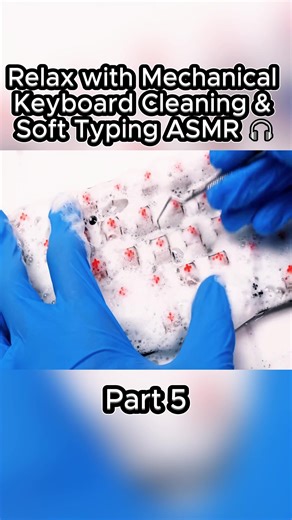 Relaxing Mechanical Keyboard Cleaning ASMR Experience