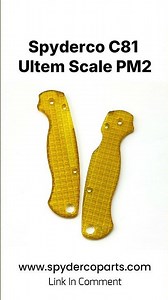 Spyderco C81 Ultem Scale PM2