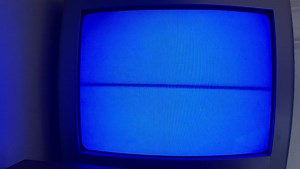 Opening to The Land Before Time II The Great Valley Adventure 1994 VHS (1995 Reprint)