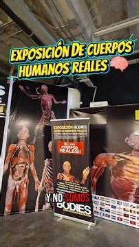 Exposición de anatomía: el cuerpo humano desde adentro 🦴🔥 #medicina #parati #fypシ #doctor