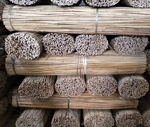 [Hot Item] Bamboo Pole for Support/Tonkin Bamboo Poles