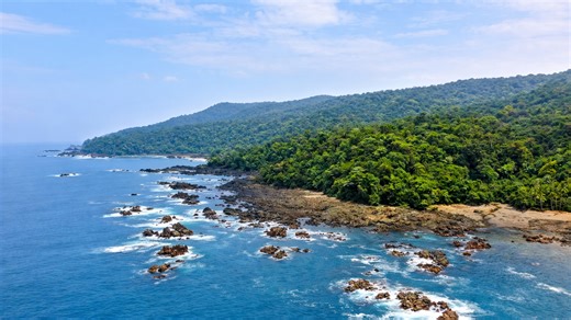 Where rainforest meets the Pacific Ocean