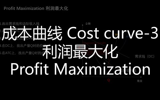 利润最大化（profit maximization）-微观经济学