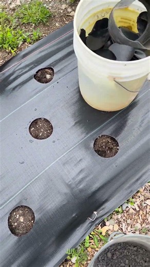 I found a better way to burn holes in my landscaping fabric! Using a torch was forever! This method