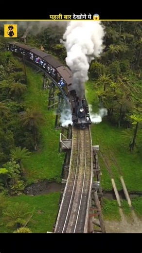 Puffin Train in Australia 😱 #shorts