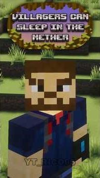 Villagers Can Sleep In The Nether...??? | Minecraft Myths Part 24 | #minecraftmyths #minecraft #mcpe