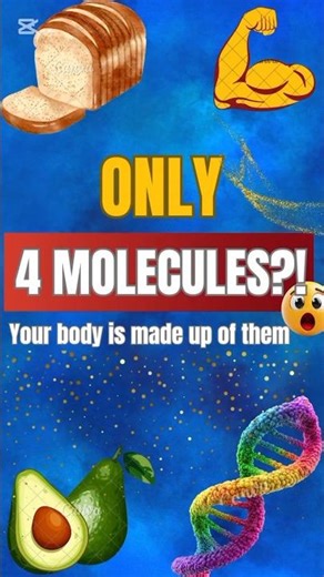 ''4 Molecules That Control Your Entire Body'' 😲