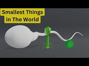 Smallest Things in The Universe: 3D Comparison (From Quarks to USB Flash Drive)