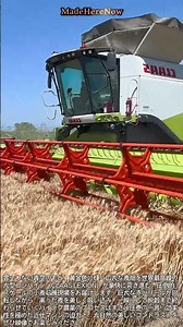 快晴の麦畑！世界最強クラスの収穫機が一瞬で小麦を刈り取る近代農業の現場 #CombineHarves