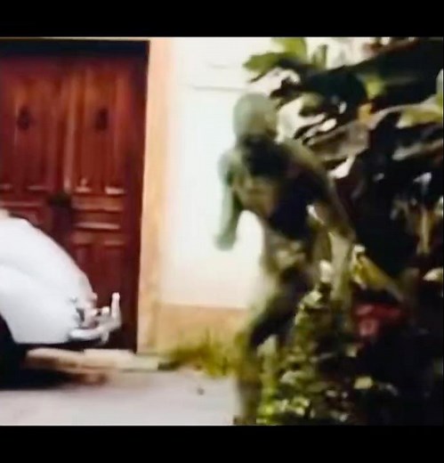 🎥 Signs (2002) 👽 #horrorstories #scary #mysterious #aliens