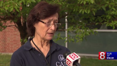 Look out for spotted lanternfly egg masses in Connecticut this fall