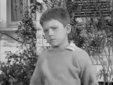 The Andy Griffith Show S03E14 One-Punch Opie_014.#theandygriffith #andygriffithshow. | Gussie Schiller