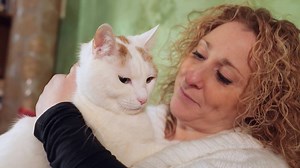 23K views · 28 reactions | FELIWAY CLASSIC Spray hilft Katzen in vielen Situationen entspannt zu bleiben: Beim Transport, bei Veränderungen in ihrer gewohnten Umgebung z.B. neuen Möbeln, Umzug oder einfach um Harn- oder Kratzmarkieren zu beenden. Im Video erklären wir, worauf bei der Anwendung zu achten ist, damit die gewünschte Entspannung schnell eintreten kann. | FELIWAY | Facebook