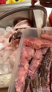 Check out the fresh nile perch steaks chilling on ice and the fresh tilapia, which is getting some skin colour. 😏 #tilapia #lolwete #nileperch #steak | LolweTe