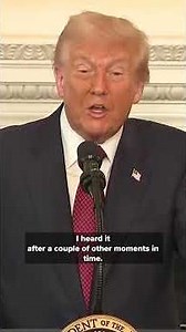 'I think they are Kamikaze pilots': Donald Trump