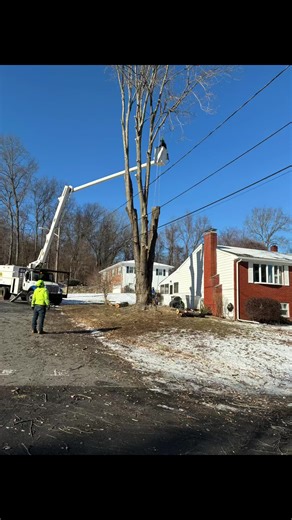 ❄️ Beautiful snow—heavy danger. ⚠️🌲 Wet, heavy snow can snap weak branches and turn trees into hazards. Our crews at Green View Tree Service are out working safely, even in winter. 🌲 See something risky? Don’t wait. 📩 Message us today for an estimate. #treeremovalinwarwick #TreeRemovalCranston #treeremovalinjohnston #LicensedAndInsured #certifiedArborist