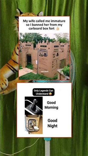 Cardboard box Fort 😂💥 #shorts