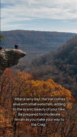 Whitaker Point Trail (Hawksbill Crag) | Nature