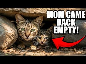 MOMMY FAILED! Hear the Cries of the Starving Kitten as Mother Returns Empty-Handed