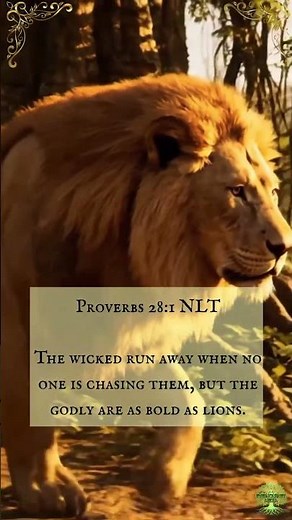Bold as a Lion | God's Creatures #proverbs #bibleverse