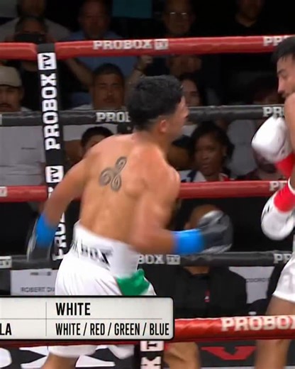 A look at every angle from @dinamitacardenas’s devastating knockout 🥊💥 | ProBox TV