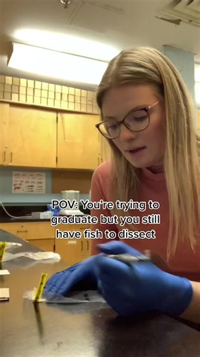 Just marine biology things ✨ 🧬 #marinebiology #fisheries #capelin #lab #womeninstem #arctic #science #fish #biologist #biologistontiktok