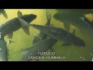 (LPS Kut Hnathawk Huang) - Tuipui D Sangha humhalh