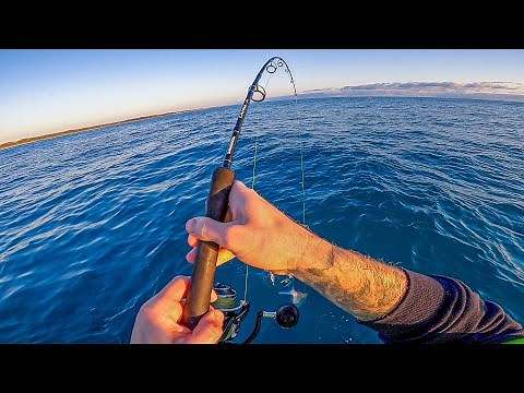 How To Catch Snapper, Step By Step how I catch Inshore Snapper