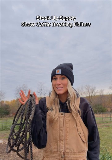 Breaking halters: game changer⚡️ #showcattle #beefcattle #halter #stockup #cattle @Stock Up Supply