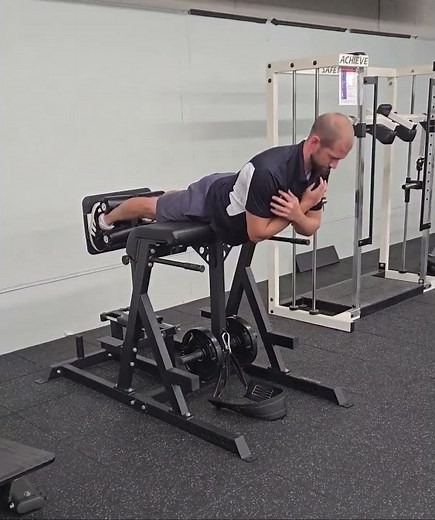 Reverse Hyper/Low Back Extension(GHD)