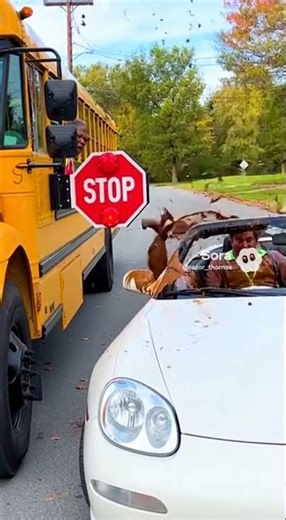 Stop arm runner gets karma ￼￼