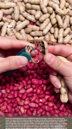 Simple device that helps you shell peanuts without hurting your hands #relaxing #satisfying