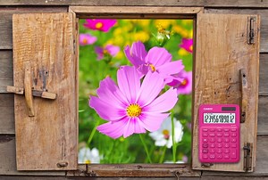 213K views · 2.2K reactions | The word cosmos comes from the Greek language and means orderly, beautiful, harmonized universe. Legend has it that Cosmos flower was named by a Spanish priest, who admired its symmetrical and aligned petals so much that compared the flower to the ordered universe. Nowadays Cosmos flower also carries romantic meaning, telling that partners will walk together through life, hand in hand. | CASIO Calculators Global | Facebook