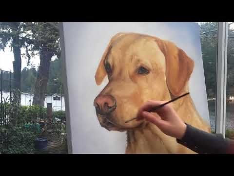 How to Paint a Yellow Lab in Oil - speed painting
