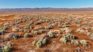 Aerial California Desert Landscape Carrrizo Plain Drone