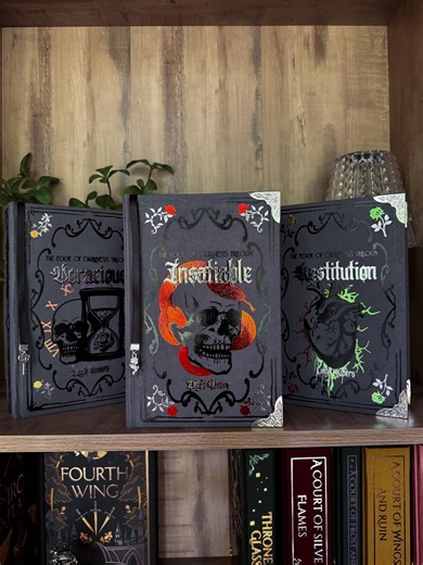 The Edge of Darkness Trilogy by Leigh Rivers Rebinds, Limited Edition, Painted Edges *MADE TO ORDER* - Etsy