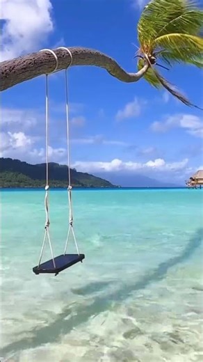 Listen to the sound of the ocean and relax with nature.🌊🤍 #nature