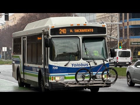 Yolobus 2002 Orion VII CNG 729 on routes 240 and 43
