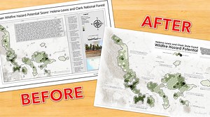 Layout advice bonanza: Lessons for creating a great composition in ArcGIS Pro