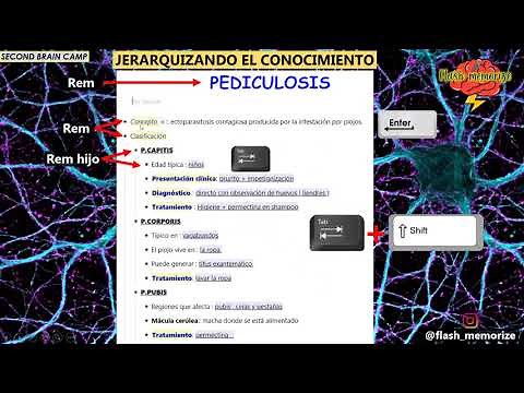 TUTORIAL REMNOTE desde 0 (Jerarquización, Flash cards y Templates) - #01